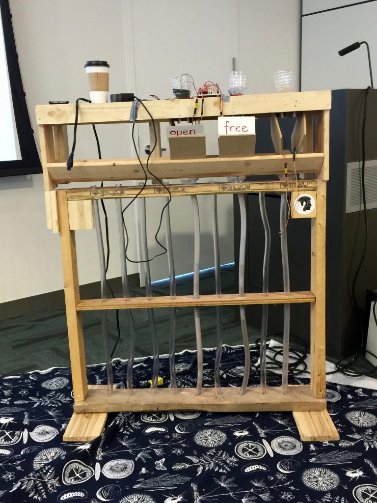 Materialization of Bubblelines